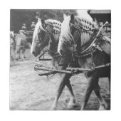 Werken met conceptpaarden in zwart-wit tegeltje (Voorkant)