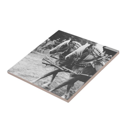 Werken met conceptpaarden in zwart-wit tegeltje (Zijkant)