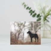 Werken met Dog Scooby op Work Conservation Canines Briefkaart (Staand voorkant)