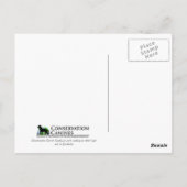 Werken met Dog Scooby op Work Conservation Canines Briefkaart (Achterkant)