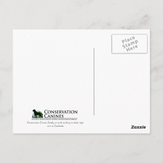 Werken met Dog Scooby op Work Conservation Canines Briefkaart (Achterkant)