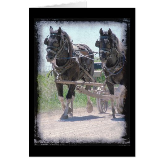 Werken met Pintos (Voorkant)