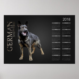 Werkend Duits Shepherd Dog - GSD Calendar 2018 Poster