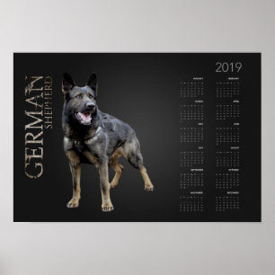 Werkend Duits Shepherd Dog - GSD Calendar 2019 Poster