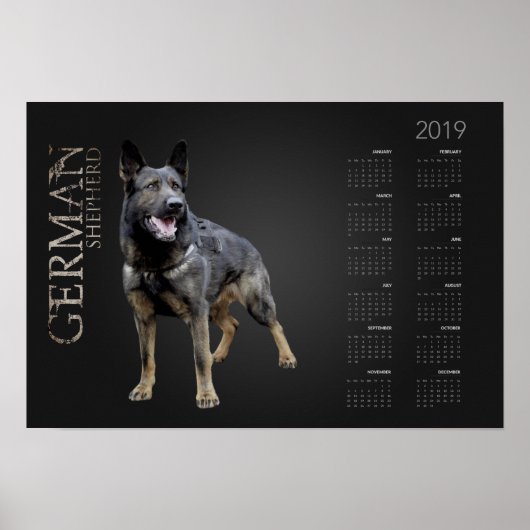 Werkend Duits Shepherd Dog - GSD Calendar 2019 Poster (Voorkant)
