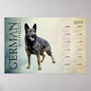 Werkend Duits Shepherd Dog - GSD Calendar 2019 Poster