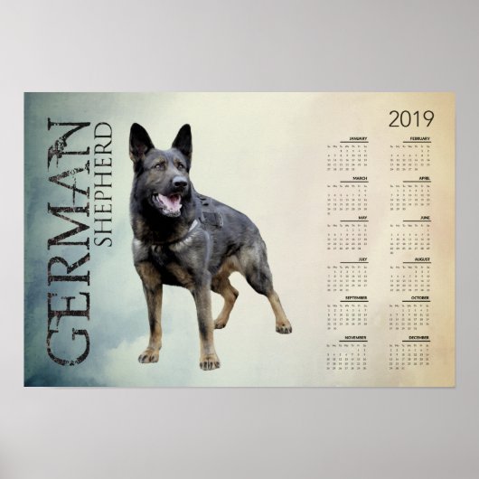 Werkend Duits Shepherd Dog - GSD Calendar 2019 Poster (Voorkant)