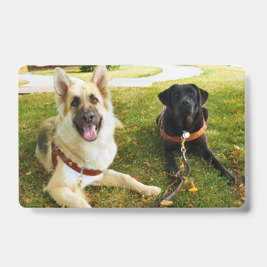 Werkende meisjes badge (Voorzijde)