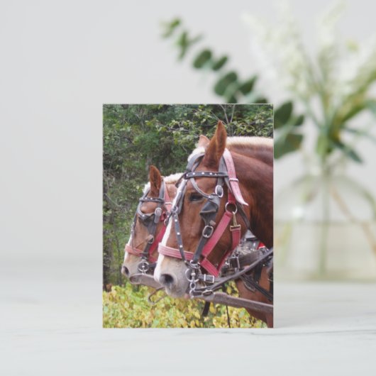 Werkgroep Briefkaart (Staand voorkant)