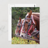 Werkgroep Briefkaart (Voorkant / Achterkant)