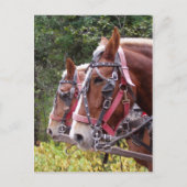 Werkgroep Briefkaart (Voorkant)