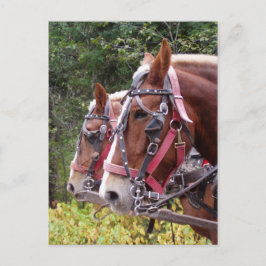 Werkgroep Briefkaart