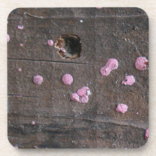 Werkhout 4 onderzetter