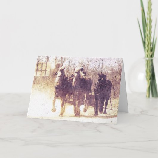 Werkkerpaarden Kaart (Voorkant)