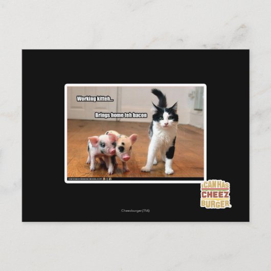 Werkkitter Briefkaart (Voorkant)