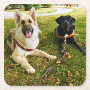 Werkkmeisjes Kartonnen Onderzetters