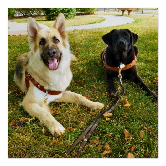 Werkkmeisjes Perfect Poster (Voorkant)