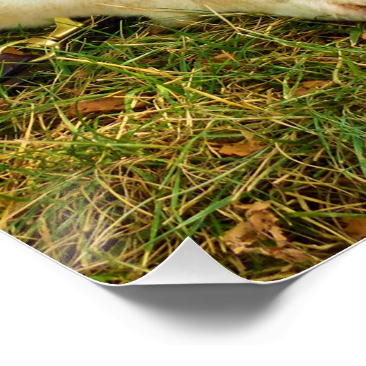 Werkkmeisjes Perfect Poster (Hoek)