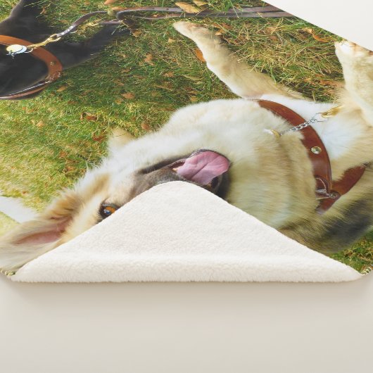 Werkkmeisjes Sherpa Deken (3/4)