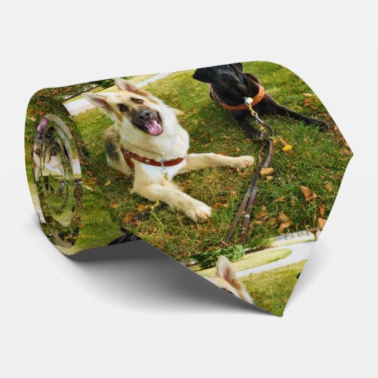 Werkkmeisjes Stropdas (Opgerold)