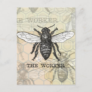 Werknemer Bijen Illustratie Kunst Briefkaart