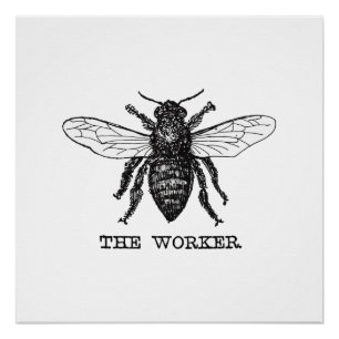Werknemer Bijen Illustratie Kunst Perfect Poster