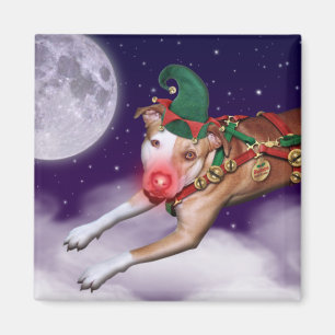 Werknemer van de kerstman van de maand magneet