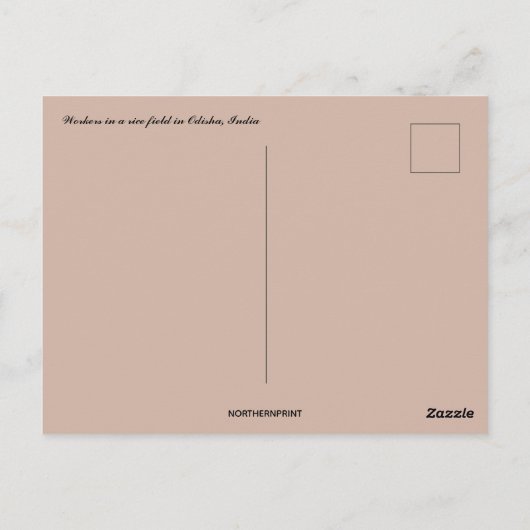 Werknemers in een rijstpadie in Odisha India Briefkaart (Achterkant)