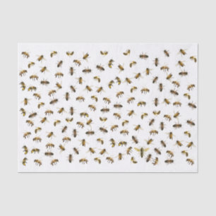 Werknemersbijen en piranaire omslag en ontbinding  tissuepapier