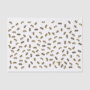 Werknemersbijen en piranaire omslag en ontbinding  tissuepapier