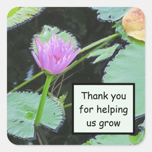 Werknemerswaardering Roze Water Lily Dank u Vierkante Sticker (Voorkant)