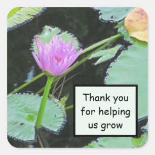 Werknemerswaardering Roze Water Lily Dank u Vierkante Sticker