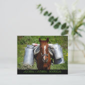 Werkpaard Briefkaart (Staand voorkant)