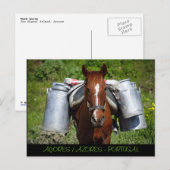 Werkpaard Briefkaart (Voorkant / Achterkant)