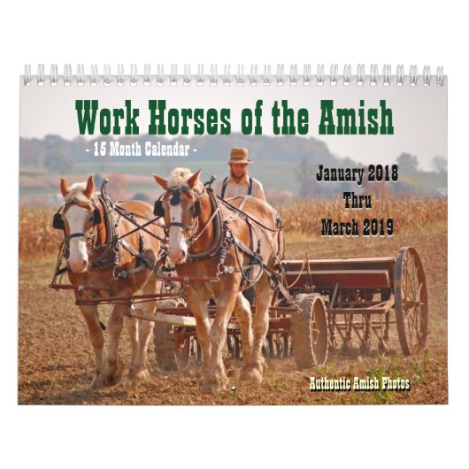 Werkpaarden van de Amish2 Kalender (Hoes)