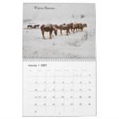 Werkpaarden van de Amish2 Kalender (Jan 2027)