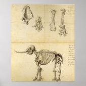 Werkset van de Mastodon Poster (Voorkant)