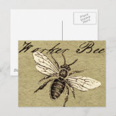  Werkster Bijen Insect Illustratie Antiek Briefkaart (Voorkant / Achterkant)