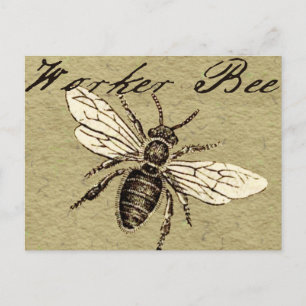 Werkster Bijen Insect Illustratie Antiek Briefkaart