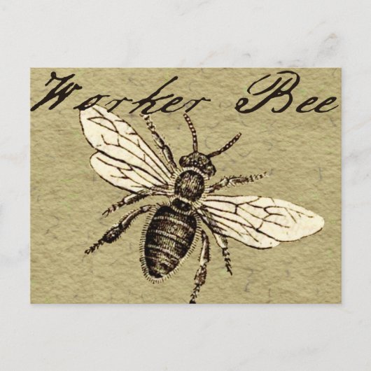  Werkster Bijen Insect Illustratie Antiek Briefkaart (Voorkant)