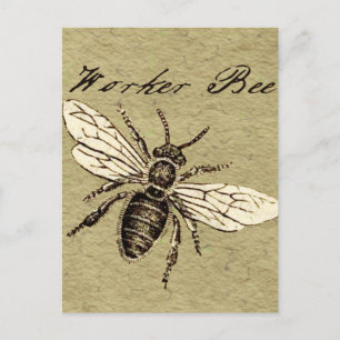 Werkster Bijen Insect Illustratie Antiek Briefkaart
