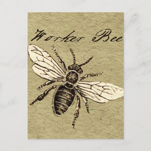  Werkster Bijen Insect Illustratie Antiek Briefkaart (Voorkant)