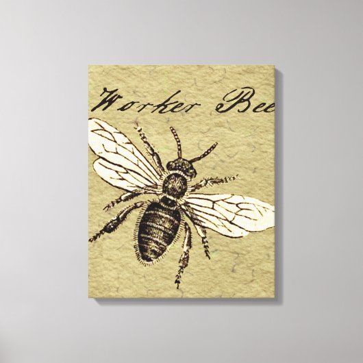 Werkster Bijen Insect Illustratie Antiek Canvas Afdruk (Voorkant)