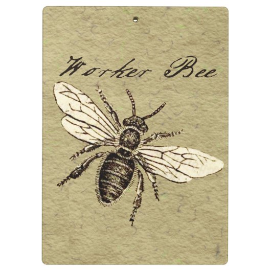 Werkster Bijen Insect Illustratie Antiek Klembord
