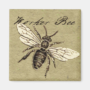  Werkster Bijen Insect Illustratie Antiek Magneet