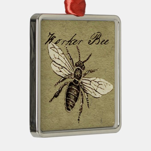  Werkster Bijen Insect Illustratie Antiek Metalen Ornament (Rechts)