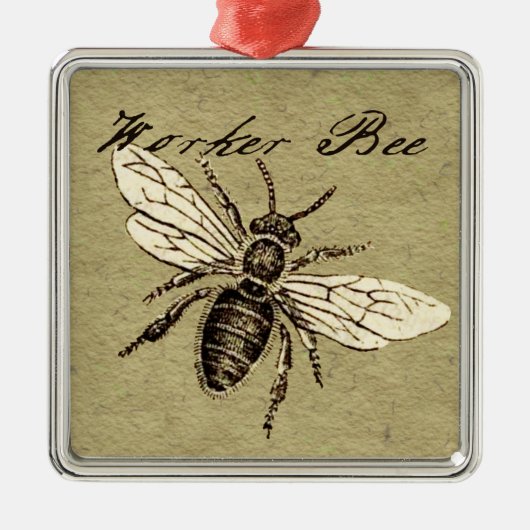  Werkster Bijen Insect Illustratie Antiek Metalen Ornament (Voorkant)