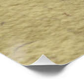  Werkster Bijen Insect Illustratie Antiek Perfect Poster (Hoek)