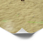  Werkster Bijen Insect Illustratie Antiek Poster (Hoek)