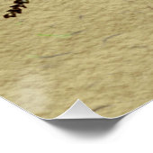 Werkster Bijen Insect Illustratie Antiek Poster (Hoek)